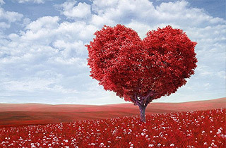Amor Incondicional